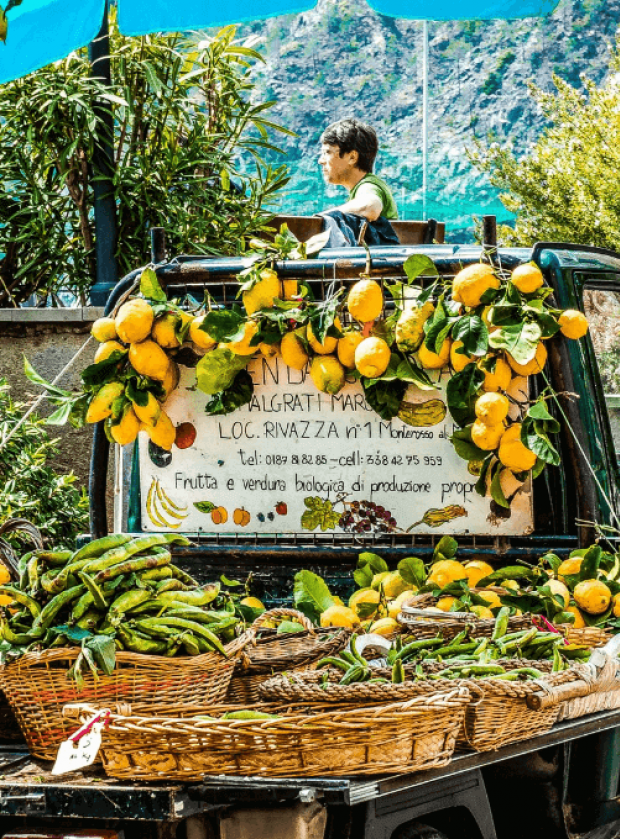 cinque_terre_italy_amalfi_coast_nature_seaside_coastline_scenic_lemons